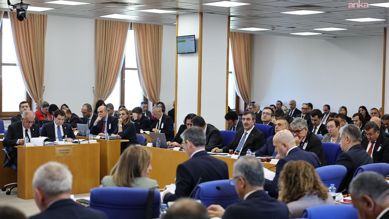 TBMM Plan ve Bütçe Komisyonu toplantısı gerçekleştirildi