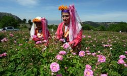 Gül festivalinin tarihi belirlendi