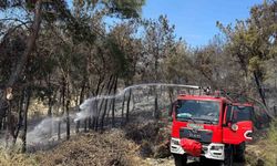 Mersin’de orman yangını: 1,5 hektar alan zarar gördü