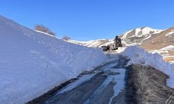 Posof’a çığ düştü, köy yolu ulaşıma kapandı