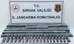 Şırnak’ta jandarma 4 milyon 571 bin TL’lik kaçakçılığı önledi