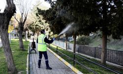 Balçova'da ilaçlamalara başlandı: Haşerelerle mücadele ediliyor