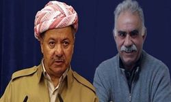 Diyarbakır'da, Barzani'nin Öcalan mesajı okundu