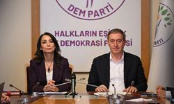 DEM Parti'den tepki : Demokrasi tarihine kara bir leke