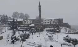 Meteorolojiden "zirai don" uyarısı