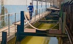 EFELER BELEDİYESİ SİVRİSİNEKLERE KARŞI İLAÇLAMA ÇALIŞMALARINI SÜRDÜRÜYOR