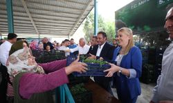 Merkezefendi Belediyesi'nden üreticilere fide desteği