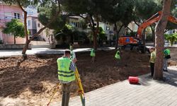 Başkan Çerçioğlu tüm ilçelerde yol yapım çalışmalarını sürdürüyor