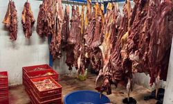 Adana’da 3 ton bozulmuş at eti ele geçirildi