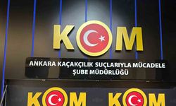 Ankara merkezli 5 ildeki operasyonlarda 96 egzotik hayvan ele geçirildi