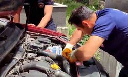 Araç motorundan çıkan sürpriz yüzleri gülümsetti