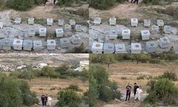 Arılara taşlı saldırı: Güvenlik kamerası o anları kaydetti