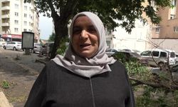 Bilecik’te yaşanan fırtınada üzerine ağaç dalı düşmesinden son anda kurtuldu