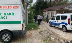 Alzaymır hastası yaşlı kadın yol kenarında ölü bulundu