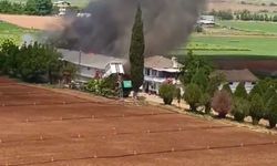 Bursa Yenişehir’de hayvan çiftliğinde büyük yangın