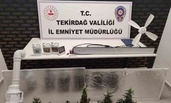 Dolaptan kenevir serası çıktı
