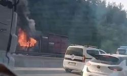 Hayvan yüklü kamyon alevlere teslim oldu