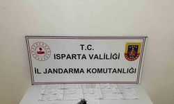 Isparta’da tefecilik operasyonu