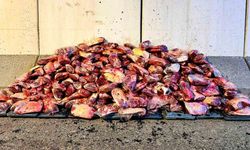 Jandarma 1 ton 700 kilo mühürsüz et ele geçirdi