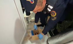 Jandarmadan evinde uyuşturucu yetiştiren şahsa operasyon