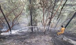 Kahramanmaraş’taki orman yangını kontrol altına alındı: 5,5 hektar zarar gördü