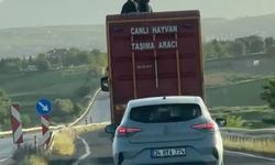 Kamyonun üzerinde tehlikeli yolculuk kamerada