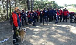 Kayıp müdür yardımcısı 120 kişilik ekiple aranıyor