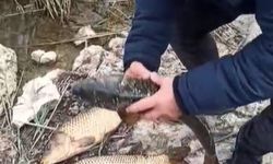 Kovada Gölü’nde kaçak avcılara 176 bin TL ceza uygulandı, ekipmanlara el konuldu