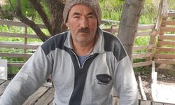 Kurt, kurbanlık kuzuları telef etti