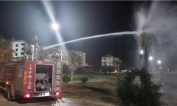 Mardin’de palmiye ağacı ateşe verildi