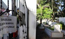 Marmaris’te domuzlar, şimdi de mezarları tahrip etmeye başladı