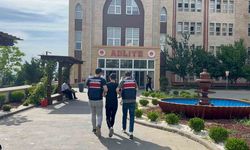 Motosikletle telef olan köpeği sürükleyen şahıs adli kontrolle serbest kaldı