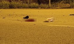 Otomobille kafa kafaya çarpışan motosiklet sürücüsü hayatını kaybetti
