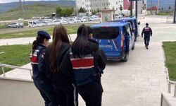 Sahte araç kiralama siteleriyle 160 milyon TL vurgun...