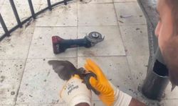Şanlıurfa’da demir boruya sıkışan kırlangıç kurtarıldı