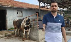 Sosyal medyada gördüğü kurbanlık danaları almak isterken 200 bin TL dolandırıldı
