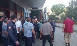 Sulama kanalı düşen çocuğu annesi kurtardı