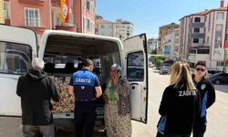 ’Taşköprü sarımsağı’ diye satılan ürünün ’Çin sarımsağı’ olduğu tespit edildi
