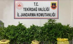 Tekirdağ’da jandarmadan uyuşturucu operasyonları: Çok sayıda madde ele geçirildi