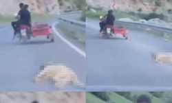 Telef olan köpeği sürükleyen şahsa 50 bin TL  ceza