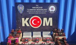 Van’da gümrük kaçakçılığı operasyonu