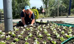Bandırma Belediyesi'nden park çalışmaları