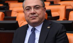 CHP'li Evrim Karakoz: Karanlık tabloyu gençler değiştirecek