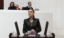 CHP'li Özcan:  Arıcıya destekler yetersiz... Çam balı tehlikede...