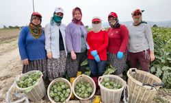 EFELER BELEDİYESİ’NİN YÖRESEL VE SAĞLIKLI ALIŞVERİŞ NOKTASI: EFE BAKKALLAR