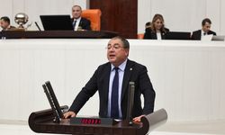 CHP'li Karakoz: Tarımda ve hayvancılıkta ithalat lobisi var