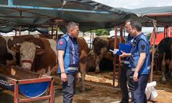 Gaziemir’de kurban satış yerleri mercek altında