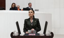 CHP'li Özcan: Hayvanların yaşam hakkını gasp eden yasa, baskı aracına dönüştü