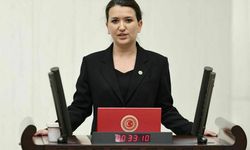 Gökçe Gökçen: Özgür Özel’e yapılan saldırı, korku üretmeye yönelik bir eylemdir