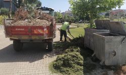 Güzelbahçe’de yaz temizliği!